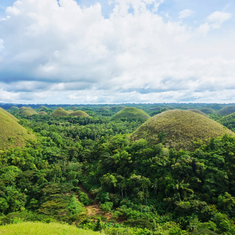 chocolate hills